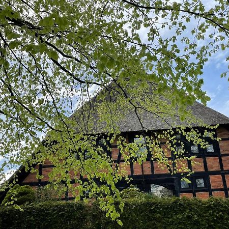 Ferienwohnung St. Dionyser Heidedorf Sankt Dionys エクステリア 写真